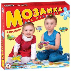 Пазл Дрофа-Медиа В аэропорту (2983), 43 дет.