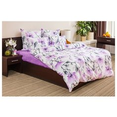 Постельное белье 2-спальное с евро простыней Ночь Нежна Магнолия 50х70 см поплин розовый