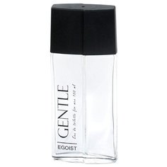 Туалетная вода Festiva Egoist Gentle, 100 мл