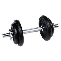 Гантель разборная Larsen NT307 10 кг