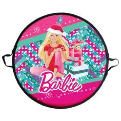 Ледянка 1 TOY Barbie (Т58482) розовый