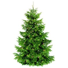 Украшение декоративное BONDIBON Самая компактная елка (ВВ2052), зеленый