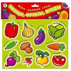 Игровой набор Дрофа-Медиа Магнит - Мои первые слова.Овощи, фрукты, ягоды 1318