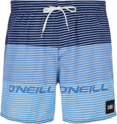 Шорты пляжные мужские ONeill Hm Sunstroke, размер 50-52 O`Neill