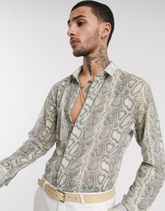Кремовая сетчатая рубашка со змеиным принтом Twisted Tailor-Кремовый