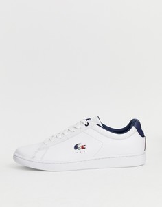 Белые кроссовки с логотипом Lacoste Carnaby Evo-Белый
