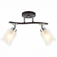 Спот Фортуна CL156122 Citilux