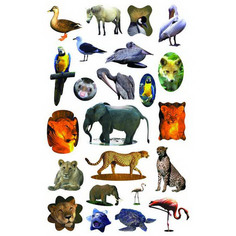 Наклейки Fancy Creative Зоомир