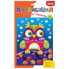 Дрофа-Медиа Набор для создания аппликации Сова (3226)