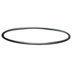 Прокладка Sera для помпы фильтра Fil Bioactive 130 и 130 + UV (30637)