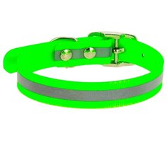 Ошейник КАСКАД Biotan (00212302) 20-24 см зеленый
