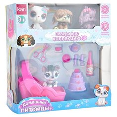 Игровой набор kari Домашние питомцы G780693