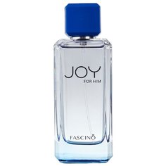 Парфюмерная вода Fascino Joy For Him, 100 мл