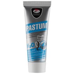 Паста ВМПАВТО Pastum H2O 70 гр. 70 г