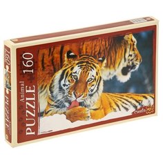 Пазл Рыжий кот Animal Тигры (КБ160-4034), 160 дет.
