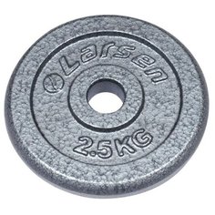 Диск Larsen NT118 25.6 мм 2.5 кг серый