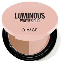 DIVAGE Luminous Пудра компактная Powder Duo 01