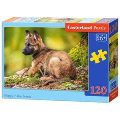 Пазл Castorland Puppy in the Forest (B-13258), 120 дет.