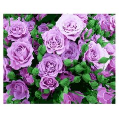 ВанГогВоМне Картина по номерам "Сиреневые розы", 40х50 см (ZX 22010)
