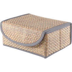 Коробка для хранения с крышкой Casy Home ВО-051 синяя
