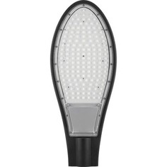 Уличный светодиодный консольный светильник Feron SP2928 32220