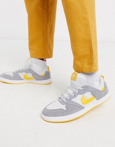 Серые кроссовки Nike SB Alleyoop-Серый