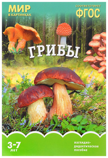 Фгос Мир В картинках, Грибы Мозаика Синтез
