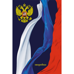 Ежедневник "Государственная символика" А5, 192л, ЕЖЛ19519201 Канц Эксмо