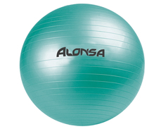 Мяч гимнастический Larsen Alonsa RG-1 55см бирюзовый