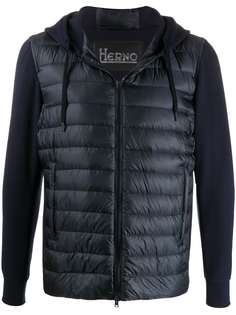 Herno padded hybrid jacket