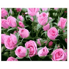 ВанГогВоМне Картина по номерам "Куст розовых роз", 40х50 см (ZX 21996)