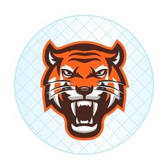 Светоотражатель Тигр Фолиант оранжевый Foliant