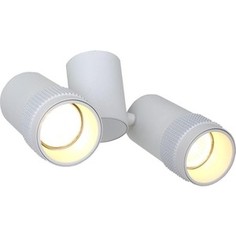 Спот Favourite 2453-2U