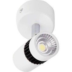 Встраиваемый спот Ambrella light TN101/10W WH/BK