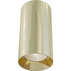 Потолочный светильник Maytoni C010CL-01G