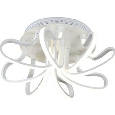 Потолочный светодиодный светильник Ambrella light FL309