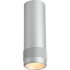 Потолочный светильник Favourite 2454-1C