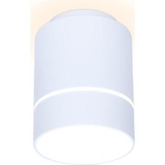 Потолочный светодиодный светильник Ambrella light TN255