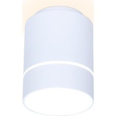 Потолочный светодиодный светильник Ambrella light TN256