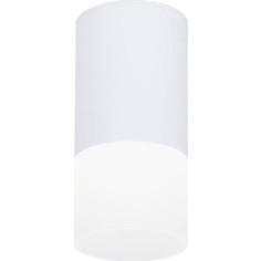 Потолочный светодиодный светильник Ambrella light TN231