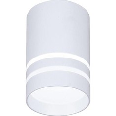 Потолочный светодиодный светильник Ambrella light TN235