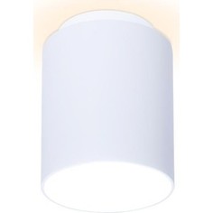Потолочный светодиодный светильник Ambrella light TN260