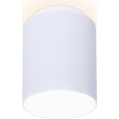 Потолочный светодиодный светильник Ambrella light TN261