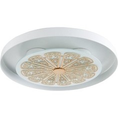 Потолочный светодиодный светильник Favourite 2602-3C