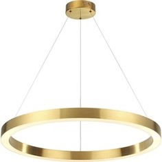 Подвесной светодиодный светильник Odeon 3885/45LG