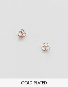 Позолоченные серьги-гвоздики Kingsley Ryan-Золотой