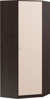 Угловой распашной шкаф Лайт-240 Divan.Ru