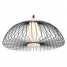 Подвесной светильник Favourite Dimidium 2371-1P