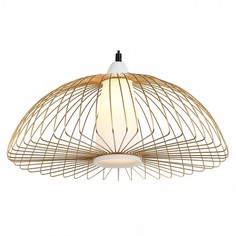 Подвесной светильник Favourite Dimidium 2372-1P