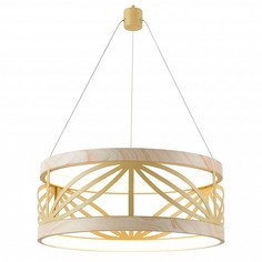 Подвесной светодиодный светильник Favourite Yolandi 2422-5P